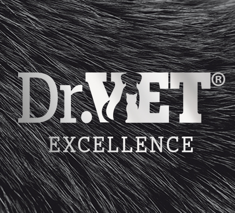 DrVet Group