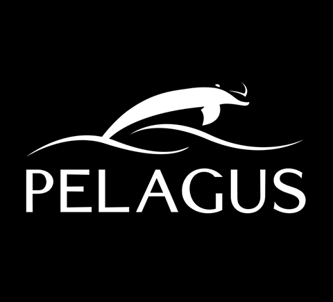 logo for brand pelagus