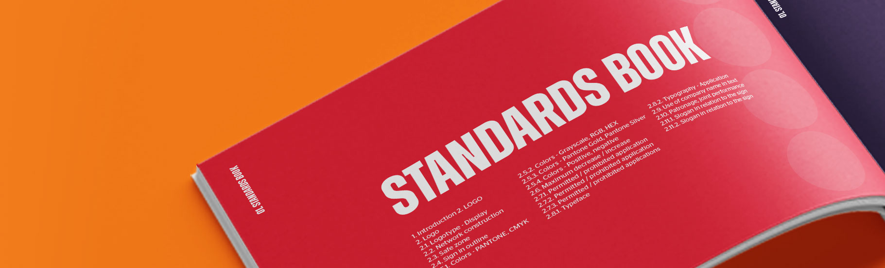 Logo Standards Book