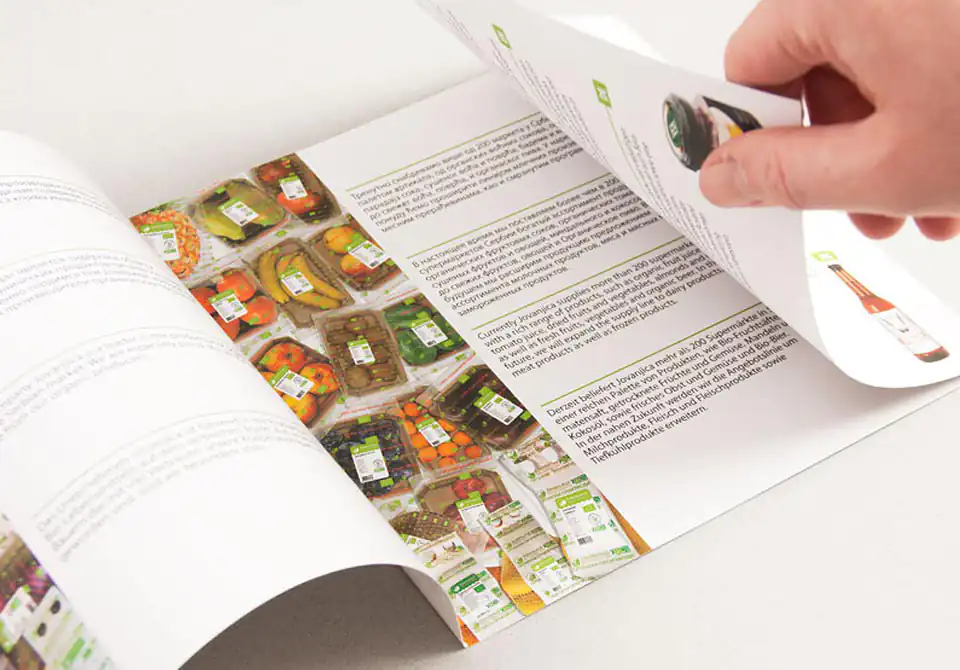 dizajn brošure